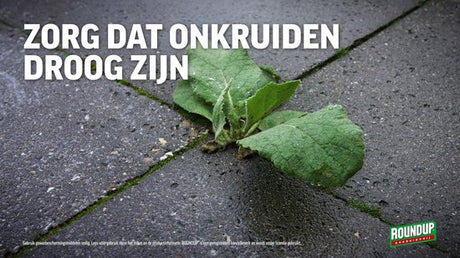 RoundUp - Totaal Onkruidvrij Kant en Klaar Sprayer 2,5 liter - Navulling