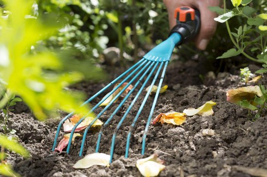 GARDENA bladharkje in gebruik, blauwe harkpennen voor bladeren op de grond