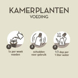 Pokon - Kamerplanten Voeding 500ml