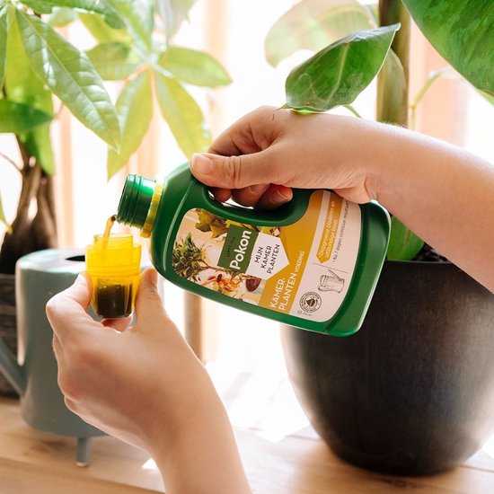 Pokon - Kamerplanten Voeding 500ml