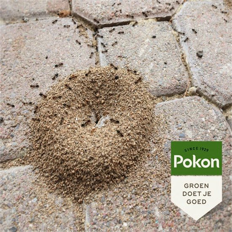 Pokon - Bio Tegen Mieren Korrels 400gr