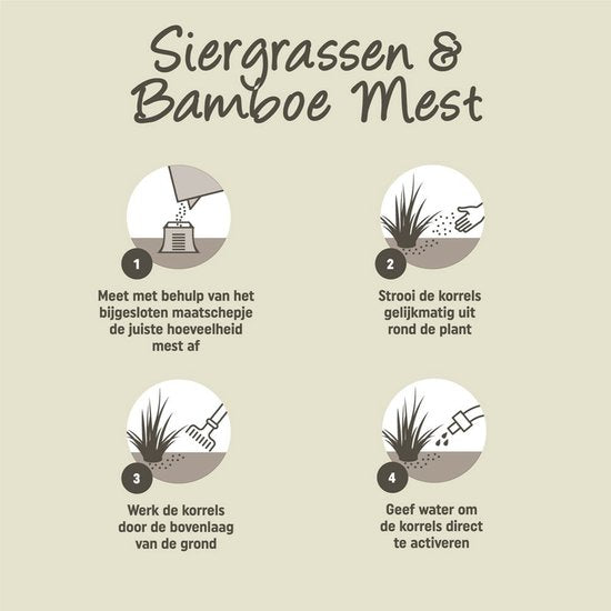 Diagram met stappen voor Siergrassen & Bamboe mest: bijgiet, strooi, bewerk, activeer