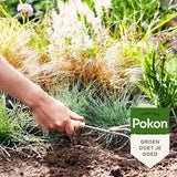 Pokon mestkorrels voor siergrassen en bamboe, hand die korrels in de grond strooit
