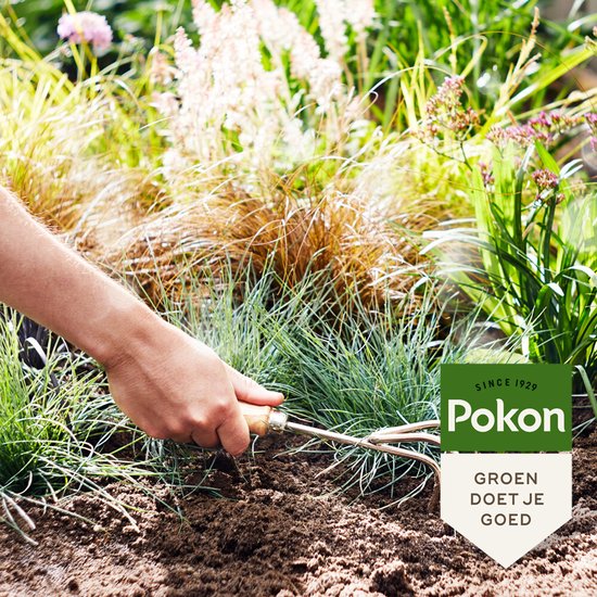 Pokon mestkorrels voor siergrassen en bamboe, hand die korrels in de grond strooit