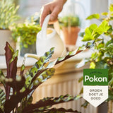 Pokon - BIO Kamerplanten voeding 500ml