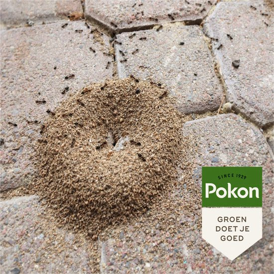 Pokon - Bio Tegen Mieren Korrels 250gr