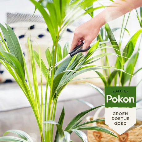 Pokon - Bio Palm Voeding 250ml