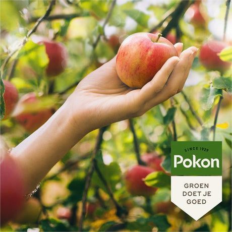 Pokon - Bio Fruitbomen Mest 1Kg