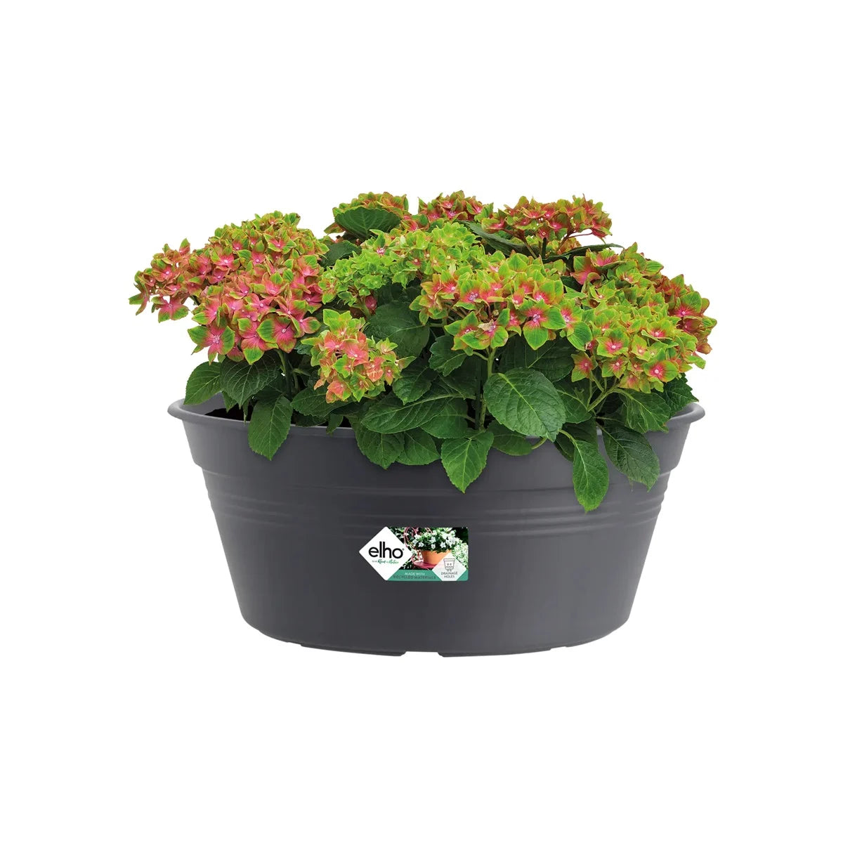 Elho - Green Basics Schaal Zwart 33Cm
