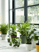 Set ronde plantenpotten in wit, op vensterbank