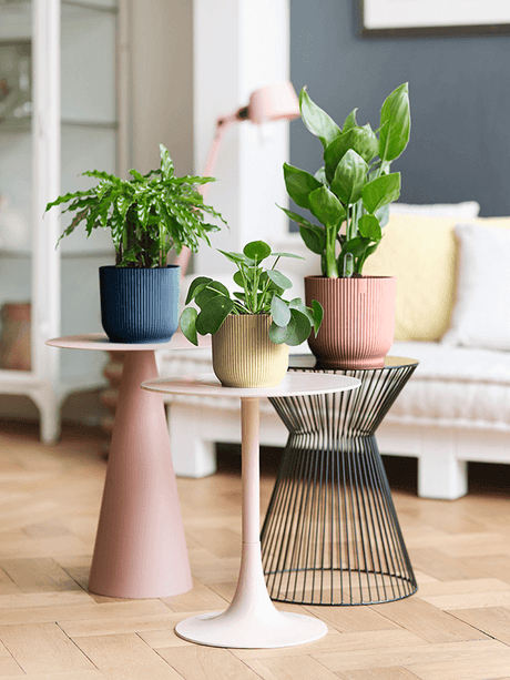 Ronde plantenbak met ribbelstructuur, met kamerplanten op tafel