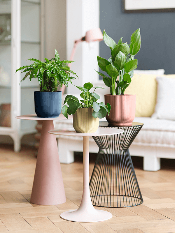 Witte ronde plantenpot met ribbels op tafel, tussen meerdere plantenpotten