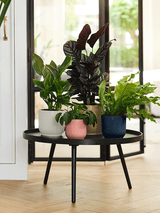 Witte ronde plantenpot met ribbels op zwarte bijzettafel, met groene kamerplanten