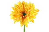 Gerbera Leanne geel-L8B8H63,5CM