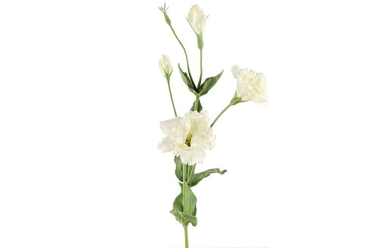 Lisianthus wit-L94B14H14CM