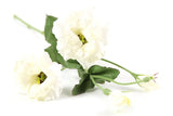 Lisianthus wit-L94B14H14CM