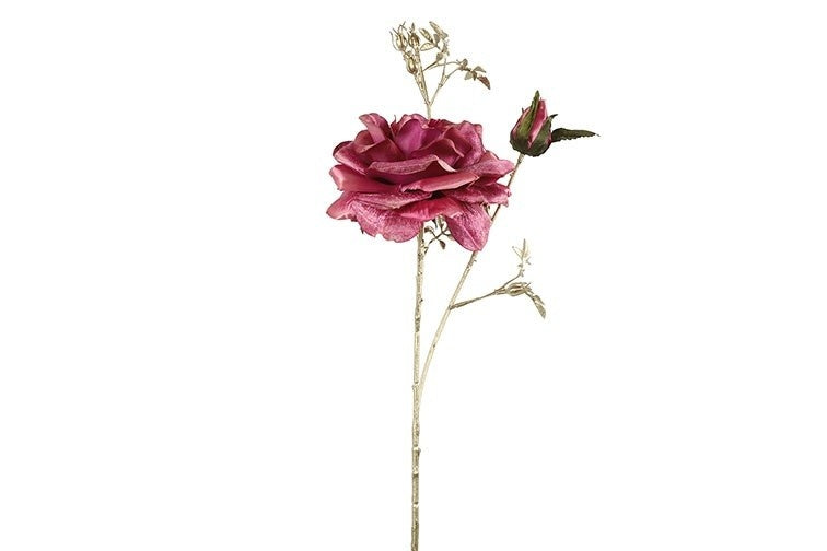 Rosa fuchsia-L9B16H81CM