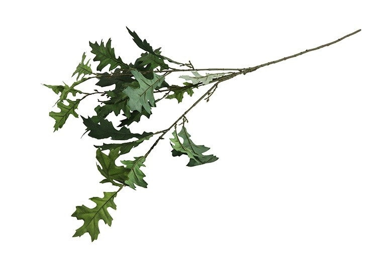 Quercus blad groen-L35B15H96CM