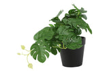 Monstera groen-L26B22H17CM