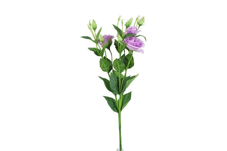 Lisianthus L lila-L15B15H77CM