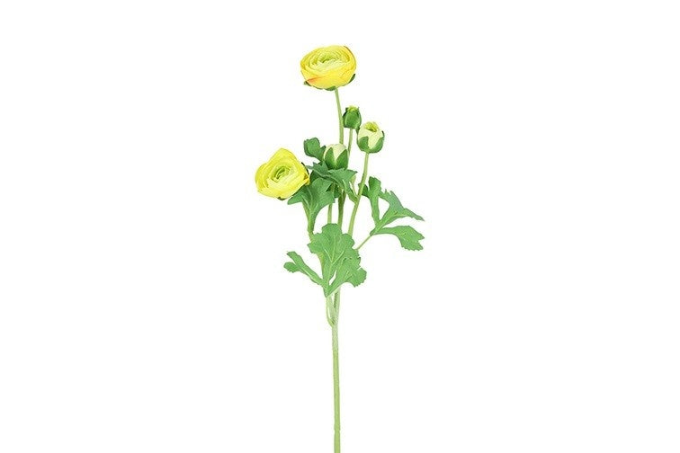 Ranunculus S geel-L15B15H53CM