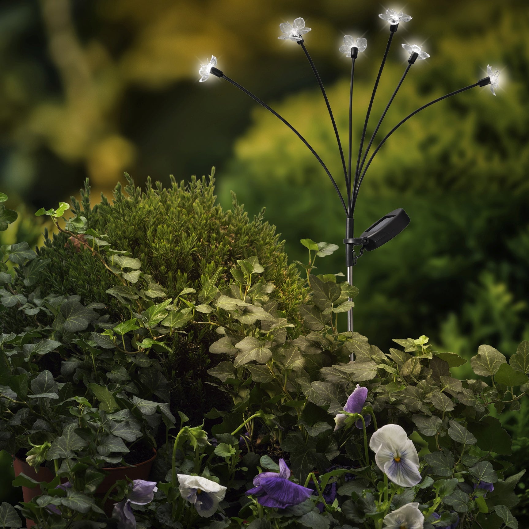 Zonne-energie tuinprikkerlamp tussen planten, met meerdere lichtpunten