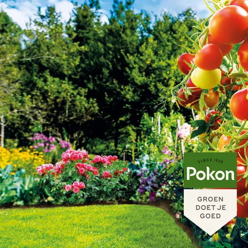 Pokon - Bio Lavameel 1,75kg