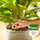 Pokon - Kamerplanten Voedingskegels 10 stuks