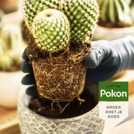 Pokon - Bio turfvrije cactus potrgrond 5L