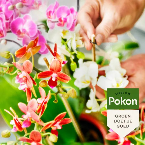 Hand met plantstokje tussen orchideeën, Pokon GROEN DOE JE GOED label