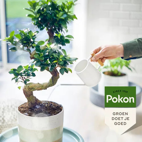 Pokon BIO bonsai voeding met gietende hand en bonsaiboom