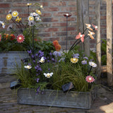 Solar zonnebloem metaal steady