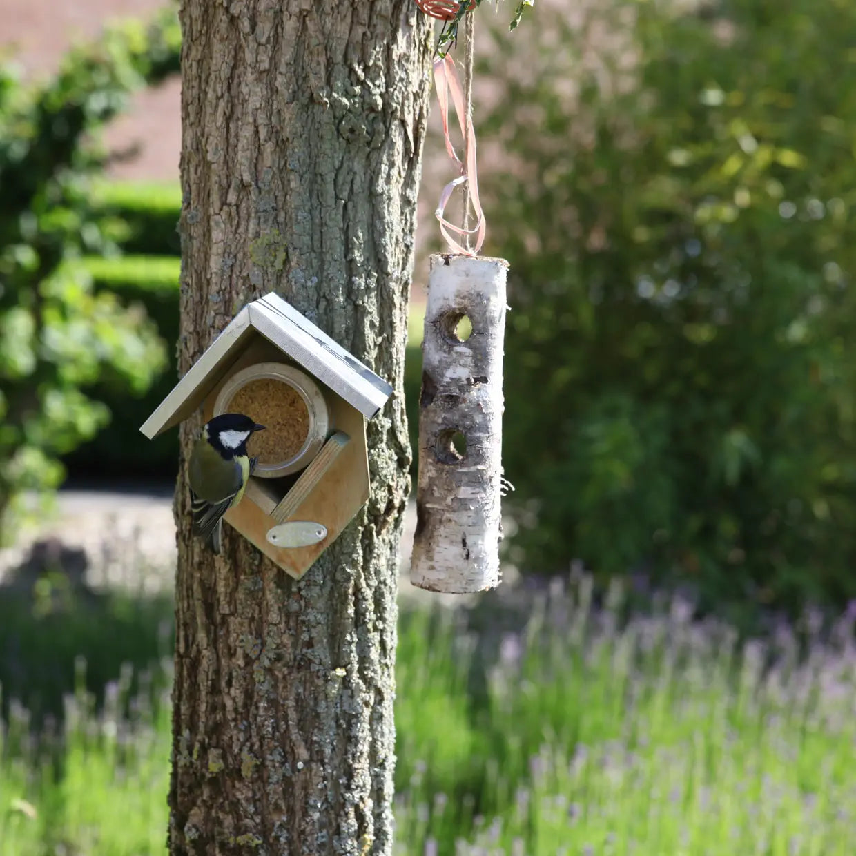 Vogelhuisje op boomtak met grijs metalen dak en ophanglus
