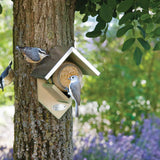 Vogelhuisje op boom met grijs metalen dak; twee vogels bij de opening