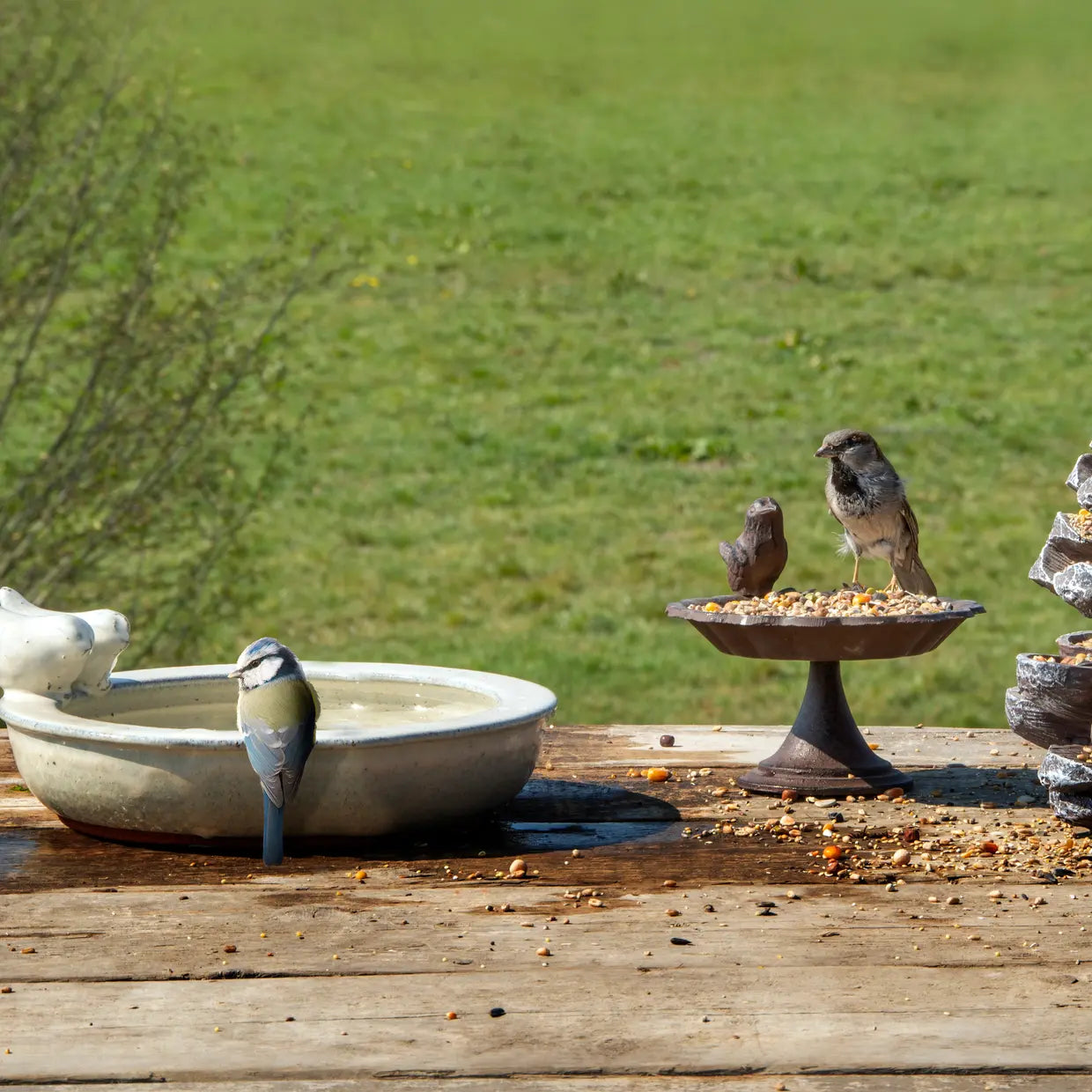 Vogelbad keramiek met rond bassin op houten plank, met twee kleine vogelbeeldjes.
