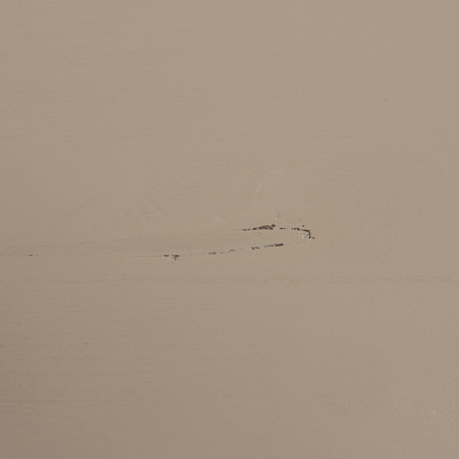 DAILY CLOSET SINGLE 50X50 CM GRENEN DAKARGRAU [fsc]