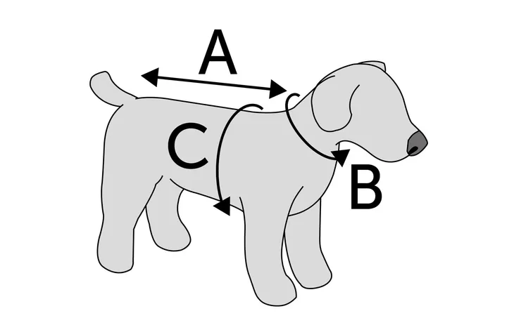 Herstelvest voor hond: diagram met pijlen A, B en C
