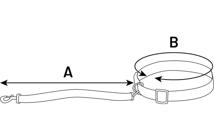Diagram van jogginglijn met heupriem: A lengte en B riembreedte