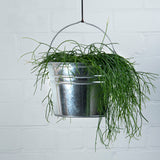 Esschert design - Zinken emmer M