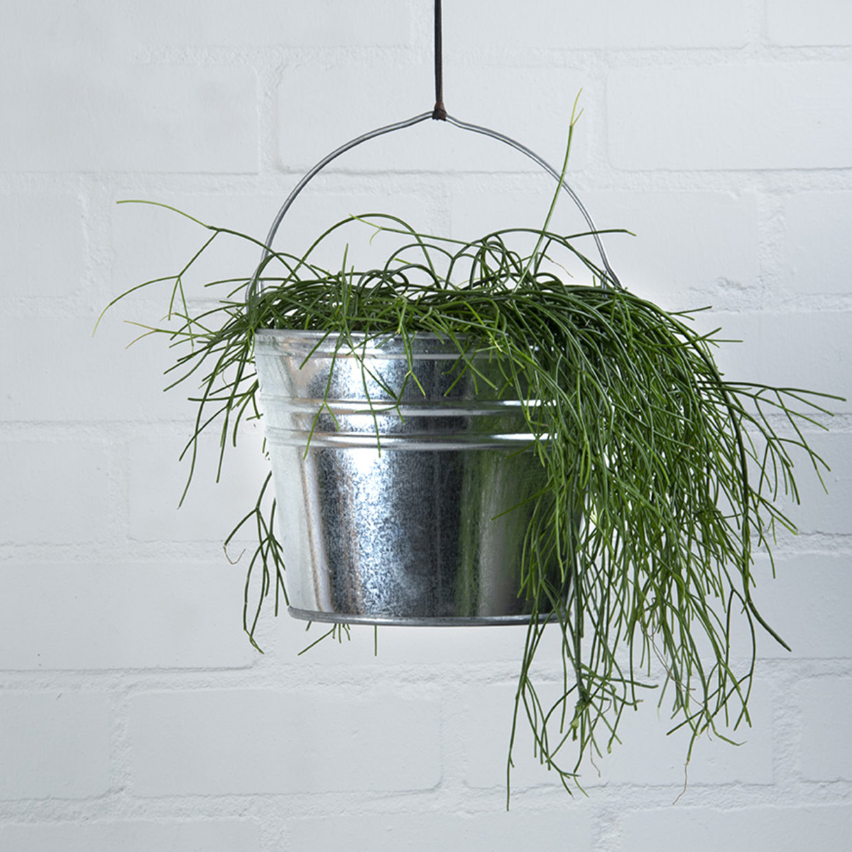Esschert design - Zinken emmer M