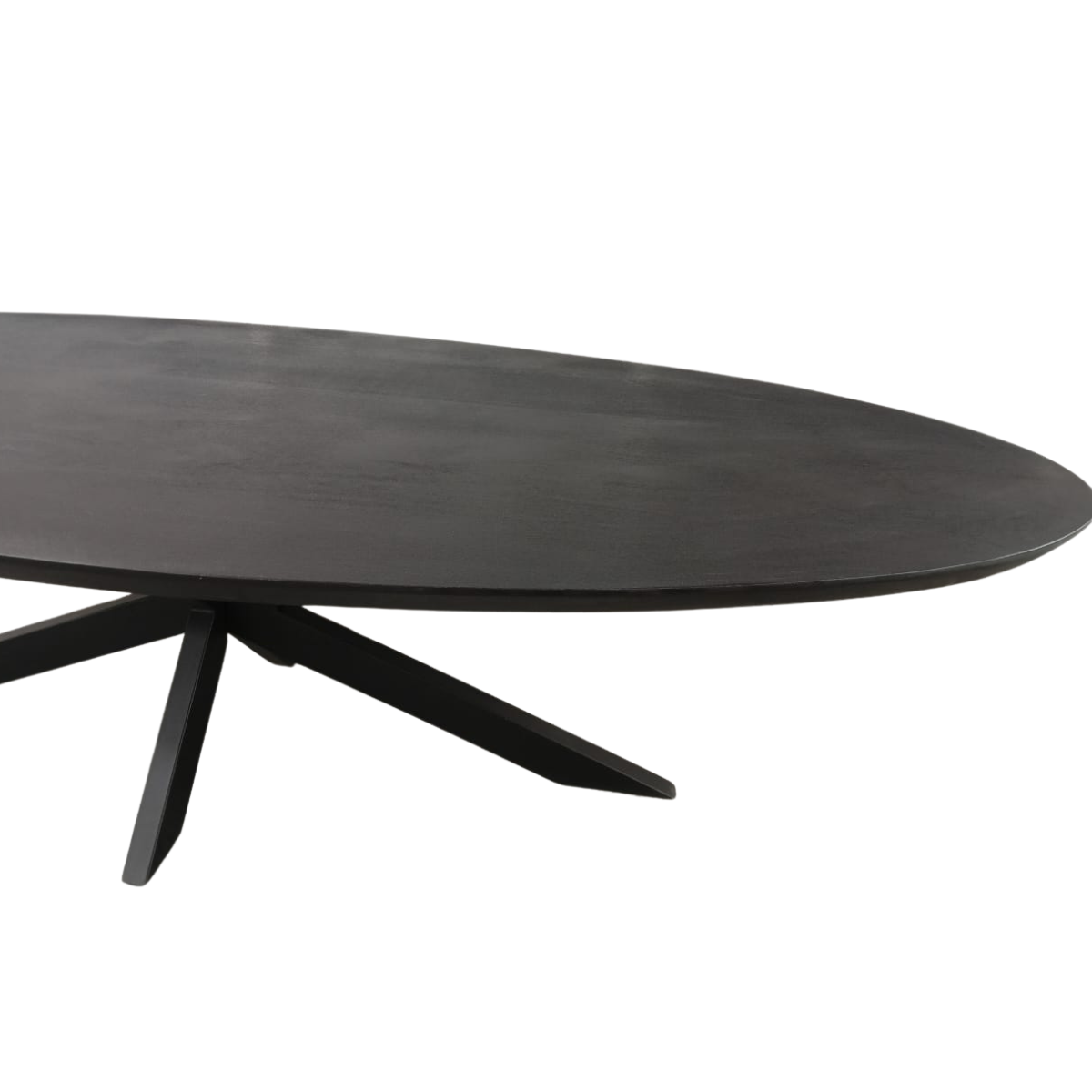 Ovale eettafel met zwart blad en puntige poot van het onderstel, zijaanzicht