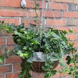 Esschert design - Aged Metal leeuw hanging basket