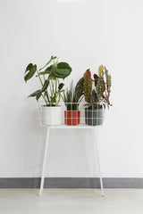 Elho - b.for soft round 14cm white