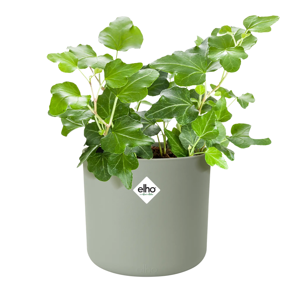 Ronde Elho bloempot b.for soft in steengroen met groene plant en elho-logo.