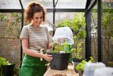 Elho - green basics kweekpot vierk. allin1 B 25 x H 21 x D 25 cm