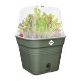 Elho - green basics kweekpot vierk. allin1 B 20 x H 17 x D 20 cm