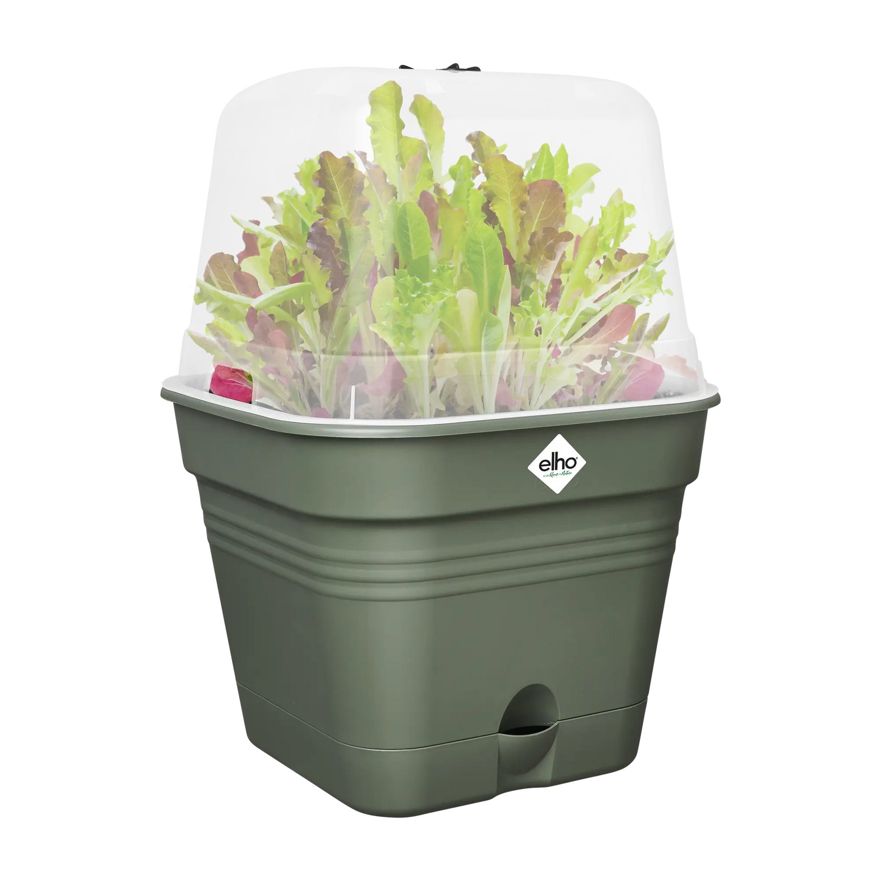 Elho - green basics kweekpot vierk. allin1 B 20 x H 17 x D 20 cm