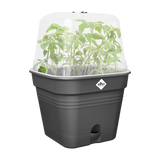 Elho - green basics kweekpot vierk. allin1 B 25 x H 21 x D 25 cm