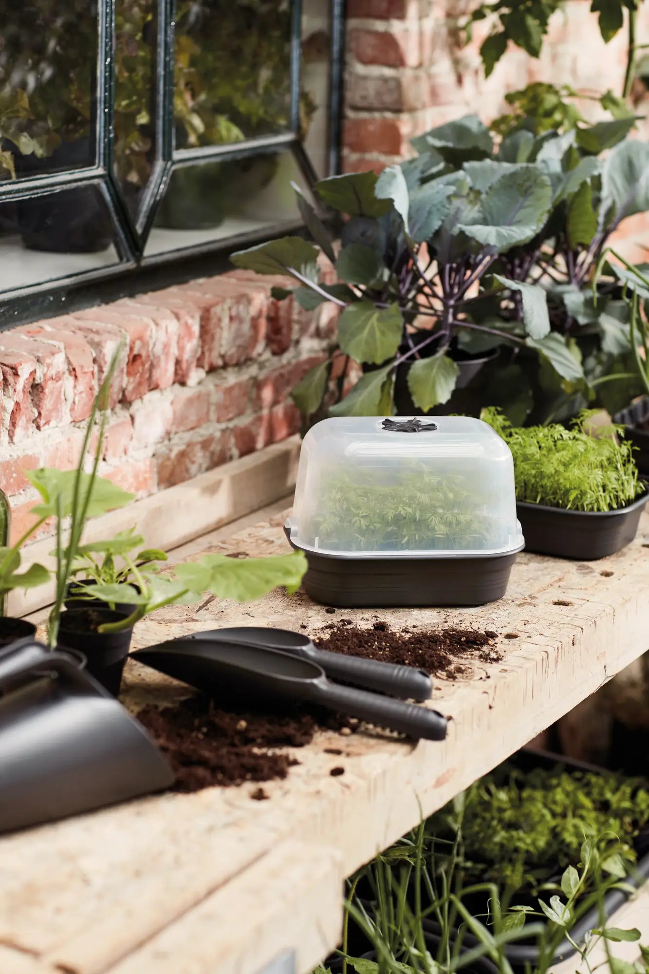 Elho - green basics kweekhuis s