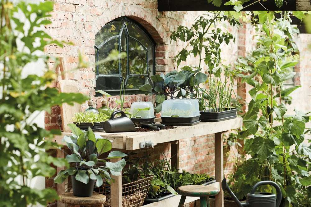 Elho kweektray op balkonplank met groene planten, donkergrijze kunststof bak